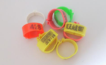 鸡脚环二维码免费的正能量WWW正能量溯源系统的解决方案